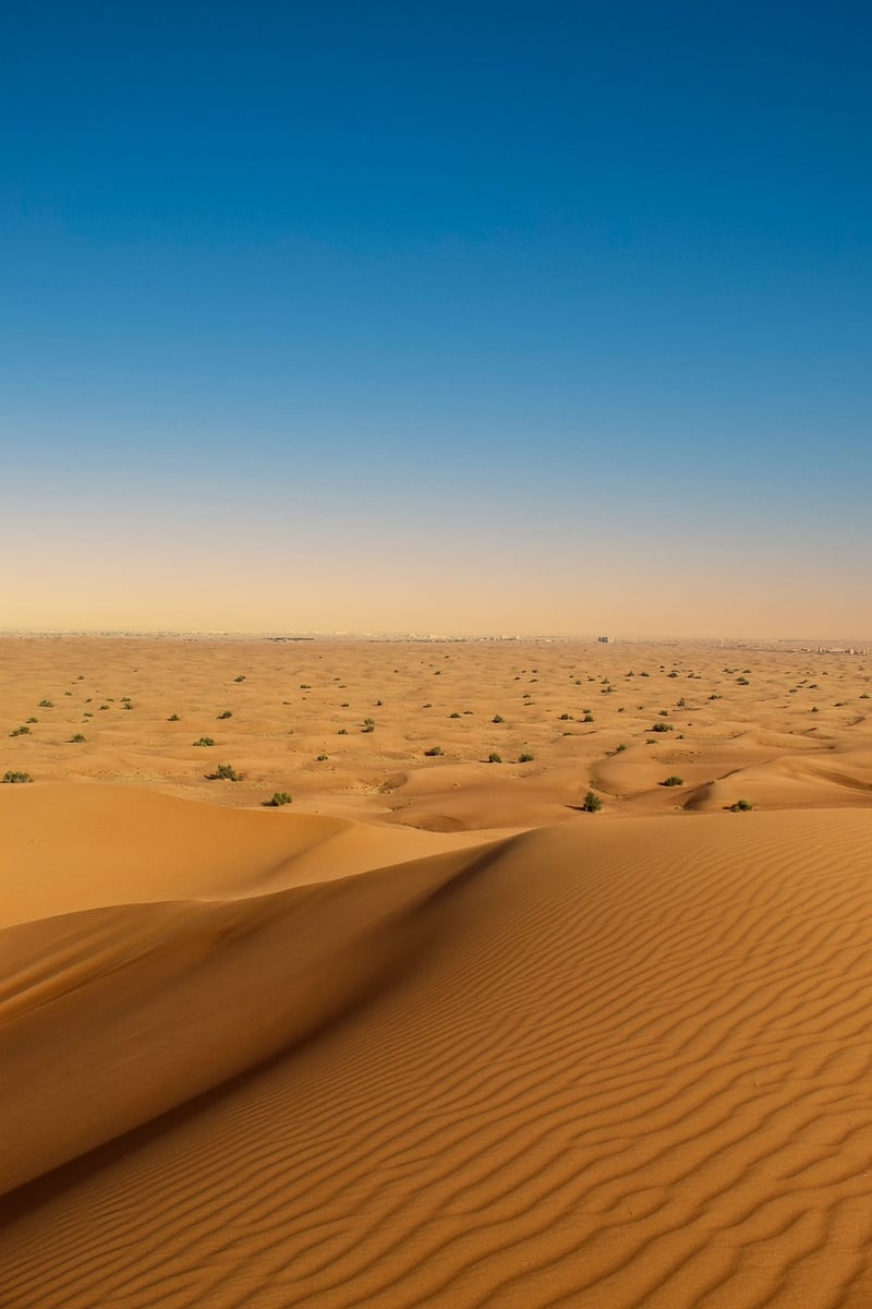 Desert Safari Dune Bashing